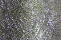 Bullhurst Hill fibreglass roof work